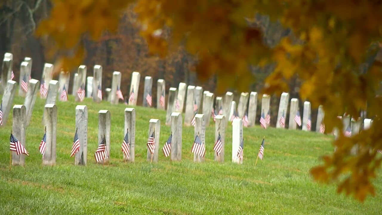 A Veterans Day Salute From Black Mountain, NC