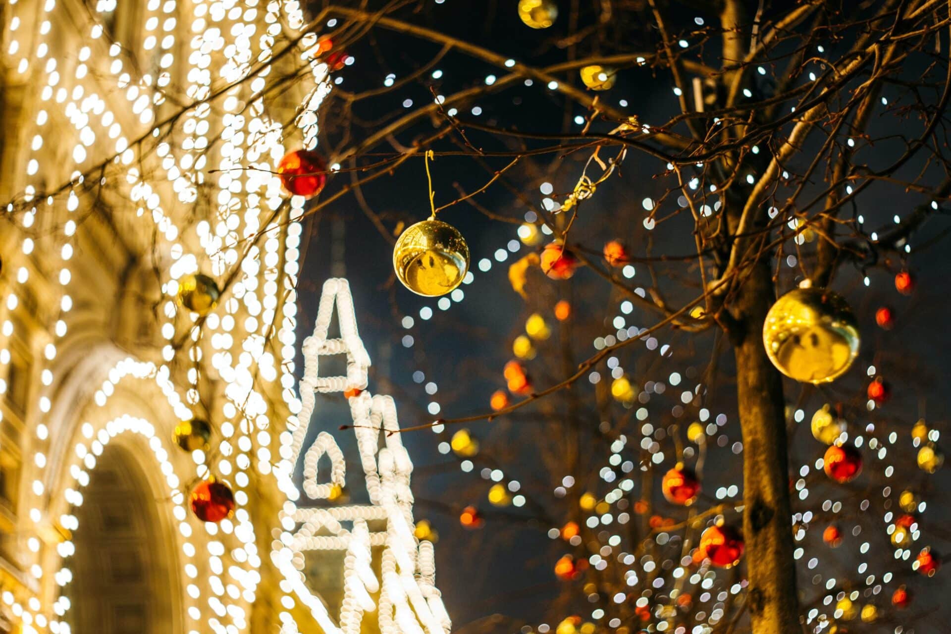 Experience The Magic of Christmas Lights This Year | Black Mountain