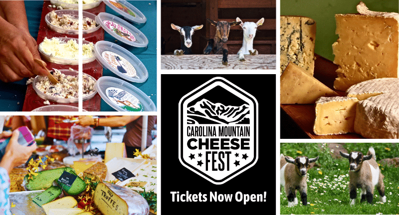 Experience the 2025 Carolina Mountain Cheese Fest in Black Mountain